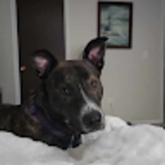 Meet your Posher, Megan - Picture 1 of 1